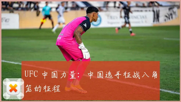 UFC 中国力量:中国选手征战八角笼的征程