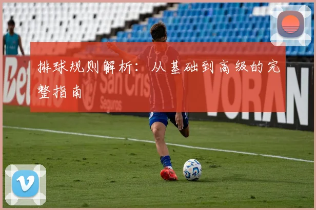 排球规则解析:从基础到高级的完整指南