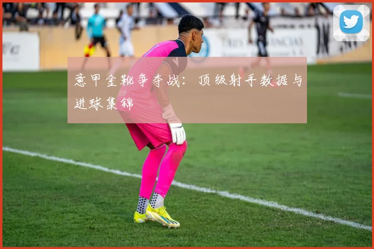 意甲金靴争夺战：顶级射手数据与进球集锦