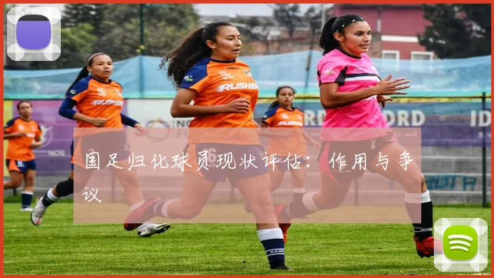 国足归化球员现状评估：作用与争议