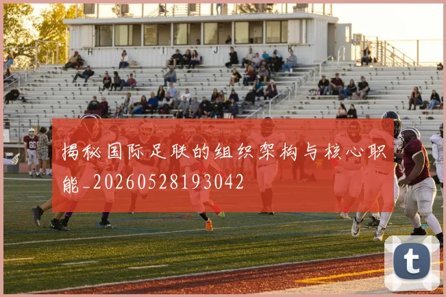 揭秘国际足联的组织架构与核心职能_20260528193042