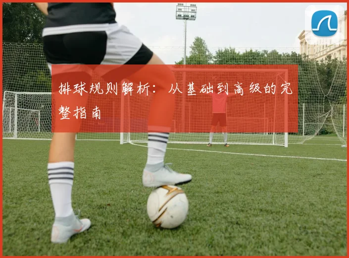 排球规则解析:从基础到高级的完整指南